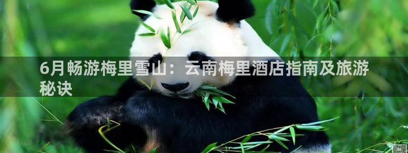 旧版云顶国际yd222登录入口