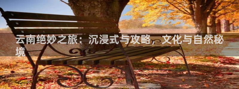 云顶4008游戏官网