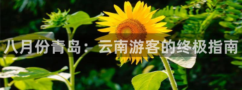 云顶国际平台网址多少