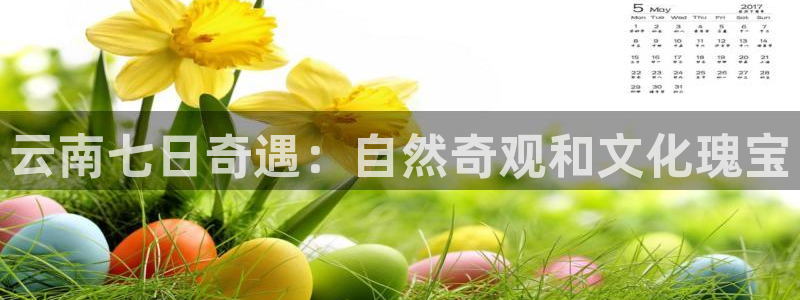 云顶国际app官方下载