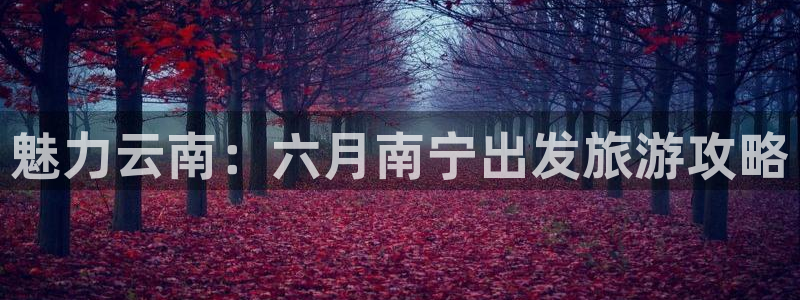 云顶集团3118在线客服