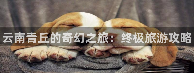 云顶3118客服网站