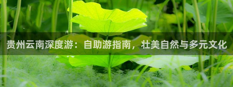 云顶yd2223线路检测