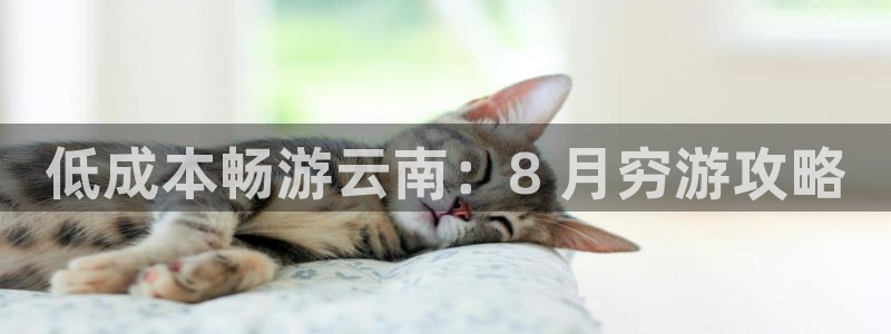 yd2333云顶贵宾会